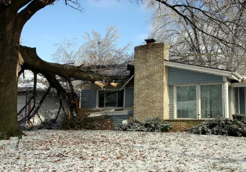 24/7 Emergency Tree Service in the Mattoon Area