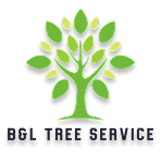 B & L Tree Services