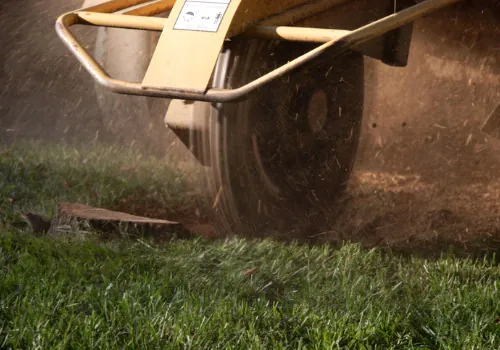 Efficient Stump Grinding in the Mattoon Area 1 Efficient Stump Grinding in the Mattoon Area