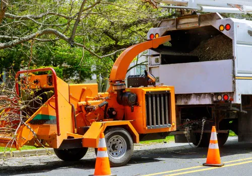 Safe & Reliable Tree Removal in Mattoon, IL 1 Safe & Reliable Tree Removal in Mattoon, IL