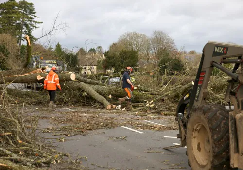 24/7 Emergency Tree Service in the Mattoon Area 1 24/7 Emergency Tree Service in the Mattoon Area