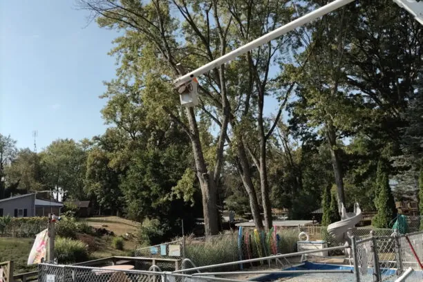 About B&L Tree Service