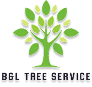 B & L Tree Services